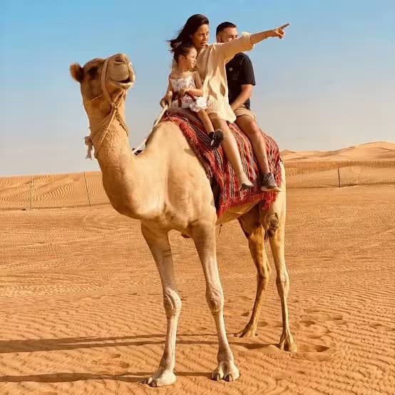 Exclusive Short Desert Safari – 4 Hours Experience detail 1