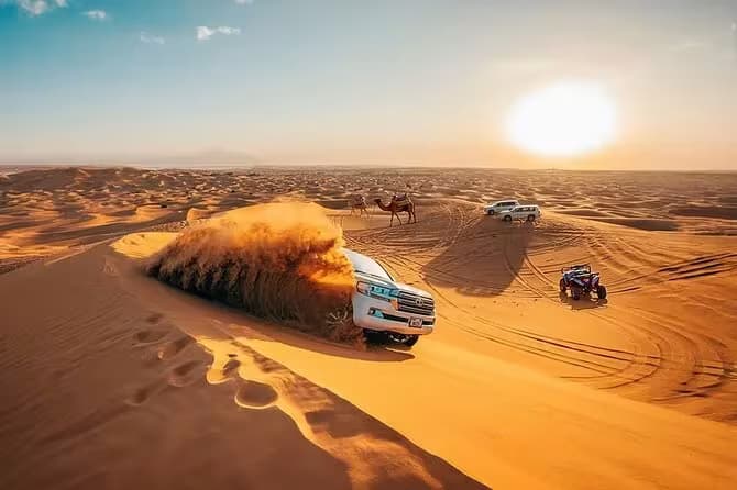 Exclusive Short Desert Safari – 4 Hours Experience gallery image 3