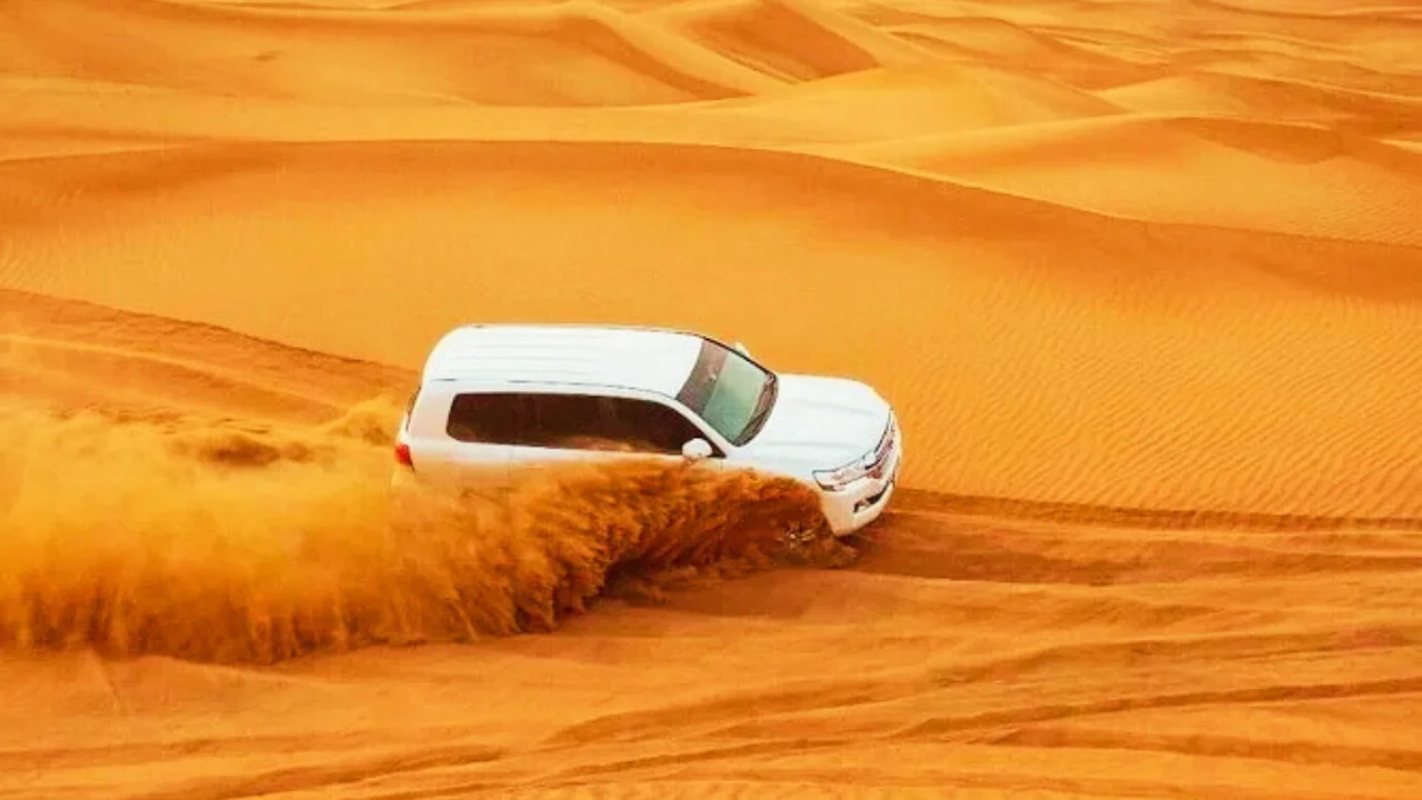 morning desert safari