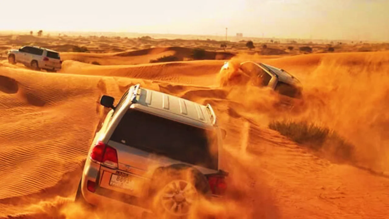 premium evening desert safari